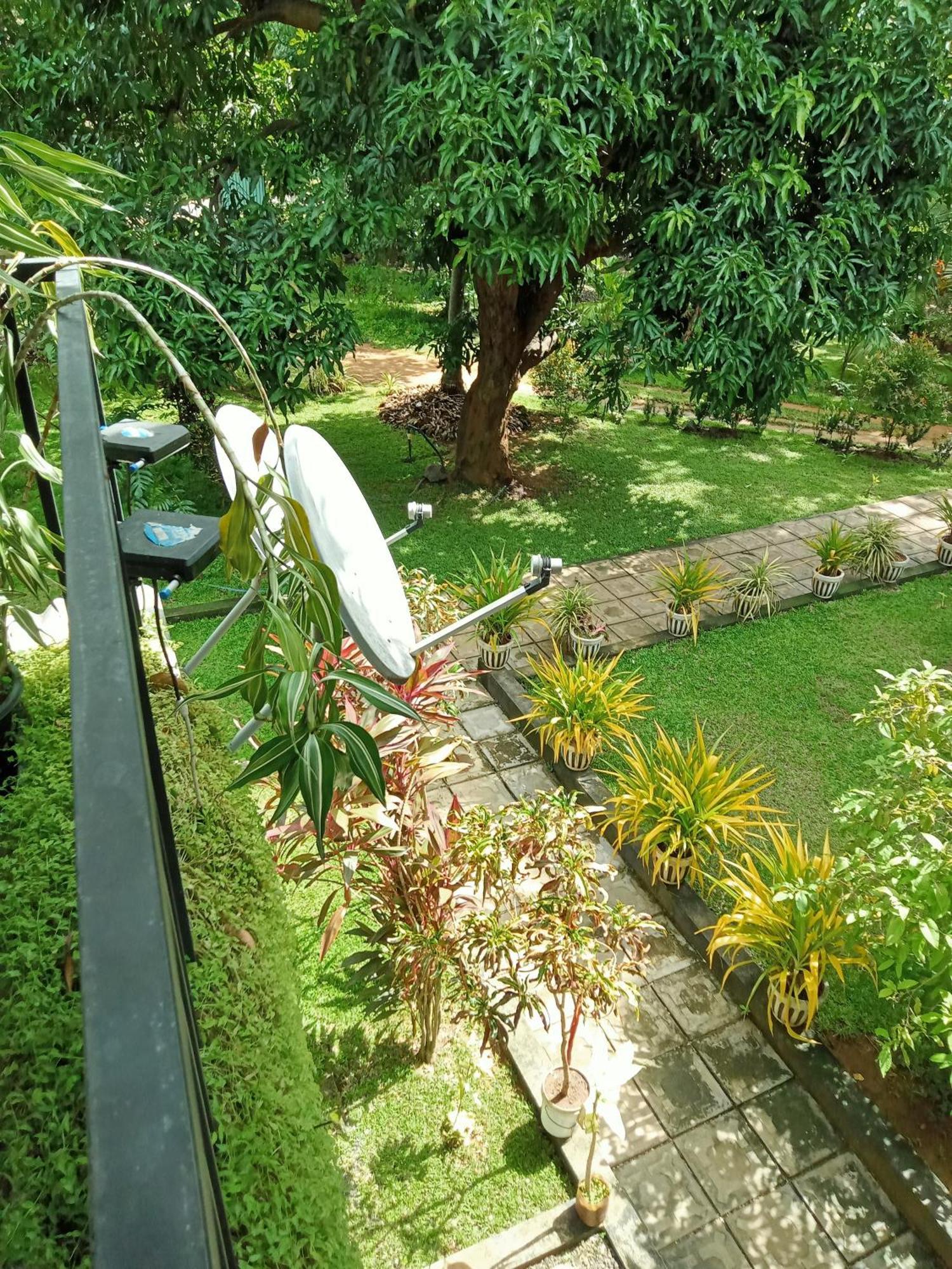 Kithmi Resort Polonnaruwa Buitenkant foto