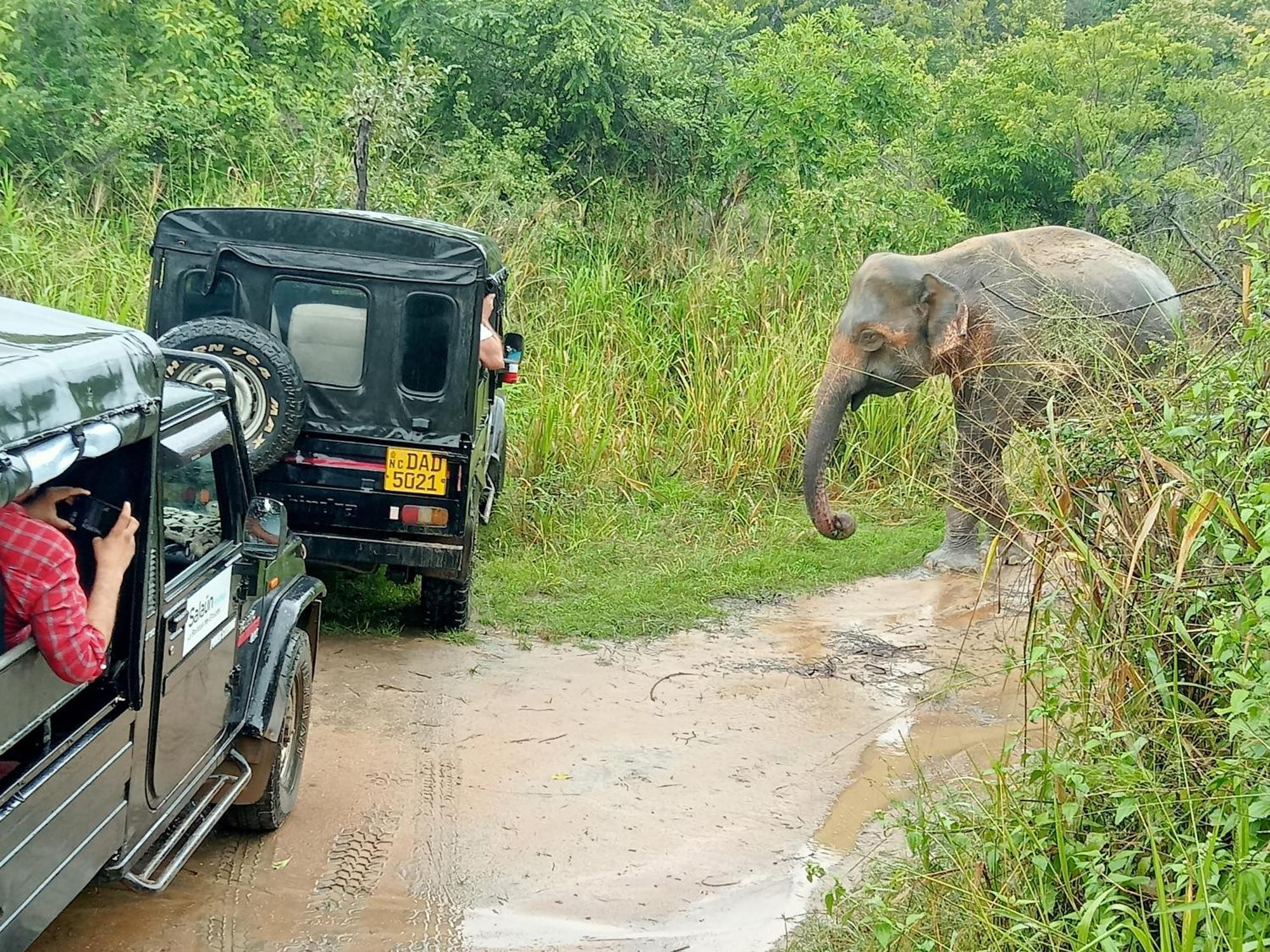 Kithmi Resort Polonnaruwa Buitenkant foto