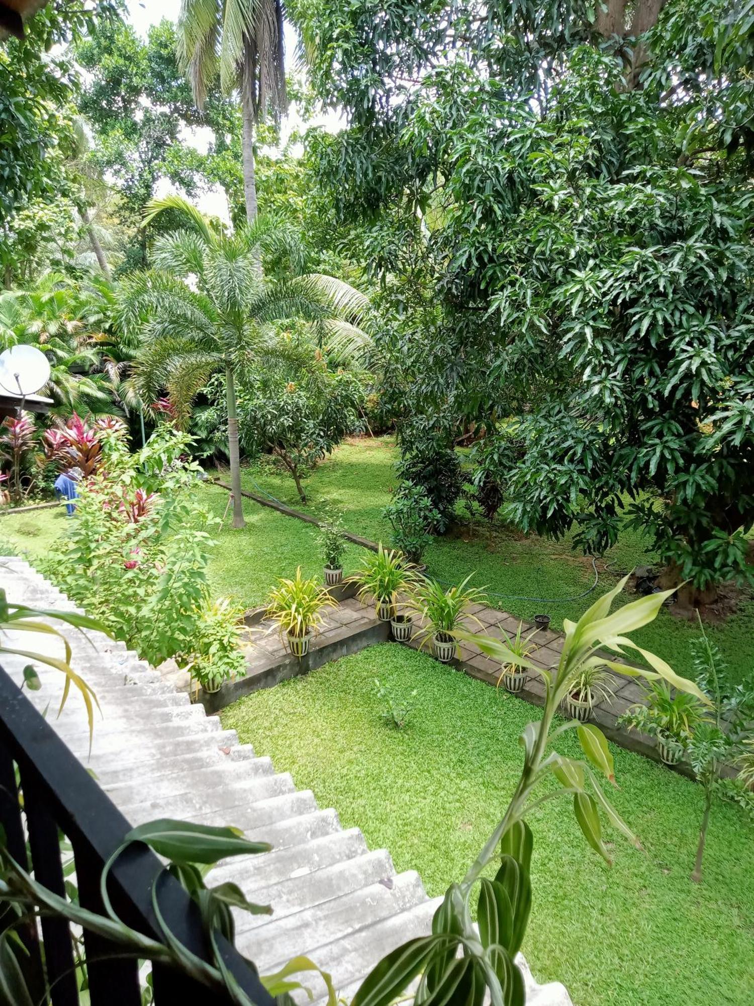 Kithmi Resort Polonnaruwa Buitenkant foto